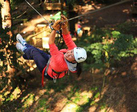 Trees Adventure Grose River Park - Accommodation Rockhampton 0