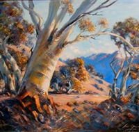 Kunama Snowy Mountains Centre for the Arts - Accommodation Rockhampton