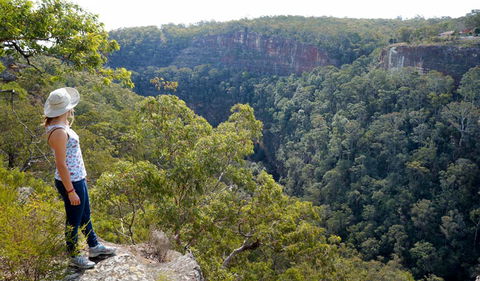 Glenbrook Gorge Track - Accommodation Rockhampton 2