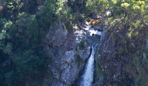Lyrebird Falls Walking Track - Accommodation Rockhampton 0
