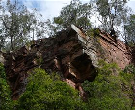 Mitchell River Walking Track - Accommodation Rockhampton 2