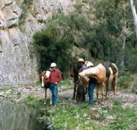 Yarramba Horse Riding - Accommodation Rockhampton