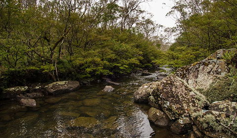 River Walking Track - Accommodation Rockhampton 0