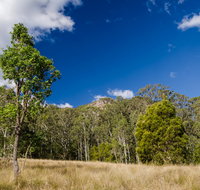 Brush Turkey track - Accommodation Rockhampton