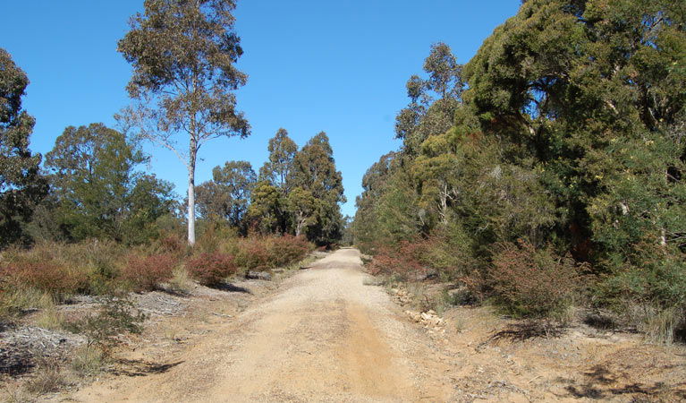 Elrington NSW Accommodation Rockhampton