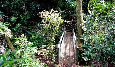 Richmond Range National Park - Accommodation Rockhampton 0