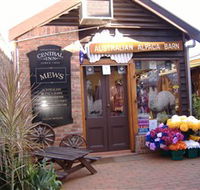 Australian Alpaca Barn - Morpeth - Accommodation Rockhampton