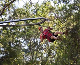 TreeTops Crazy Rider - Accommodation Rockhampton 1