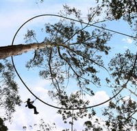 TreeTops Crazy Rider - Accommodation Rockhampton
