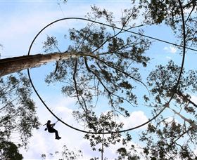 TreeTops Crazy Rider - Accommodation Rockhampton 0