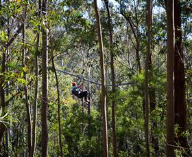 TreeTops Crazy Rider - Accommodation Rockhampton 3