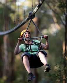 TreeTops Crazy Rider - Accommodation Rockhampton 2
