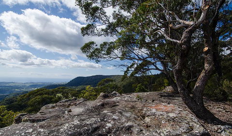 Illawarra Lookout Walking Track - Accommodation Rockhampton 2