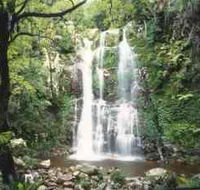 Budderoo National Park - The Falls Walk - Accommodation Rockhampton