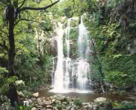 Budderoo National Park - The Falls Walk - Accommodation Rockhampton 0