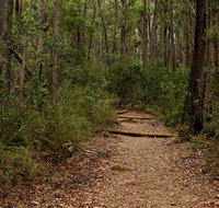Pigeon House Mountain Didthul walking track - Accommodation Rockhampton