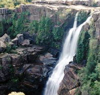 Minnamurra Rainforest Centre Budderoo National Park - Accommodation Rockhampton