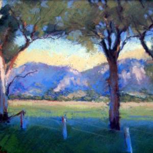 Galleries In The Gardens - Accommodation Rockhampton 4