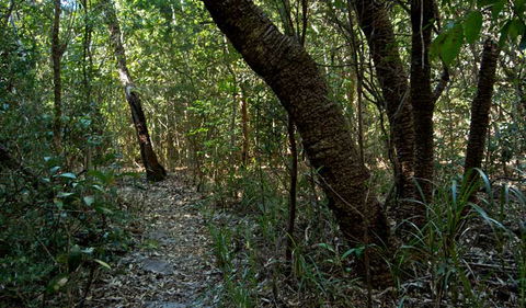 Wyrrabalong National Park - Accommodation Rockhampton 2