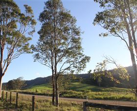 Tourist Drive 2 - Bucketts Way - Accommodation Rockhampton 1