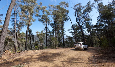 Wadbilliga Road Drive - Accommodation Rockhampton 0