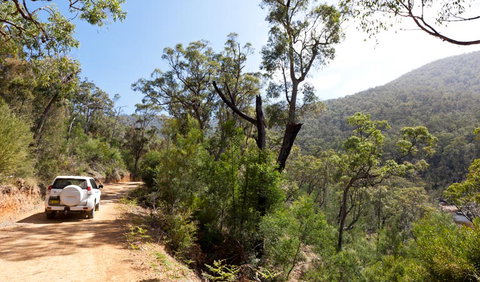 Wadbilliga Road Drive - Accommodation Rockhampton 1