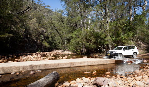 Wadbilliga Road Drive - Accommodation Rockhampton 2