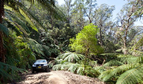 Wadbilliga Road Drive - Accommodation Rockhampton 3
