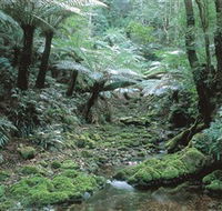 The Corn Trail Walk - Accommodation Rockhampton