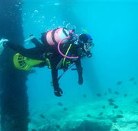 Shellharbour Scuba  Photography Centre - Accommodation Rockhampton