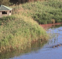 Spring Creek Bird Hide - Accommodation Rockhampton