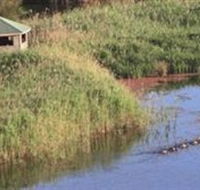 Spring Creek Wetlands Walk - Accommodation Rockhampton