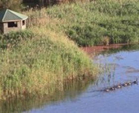 Spring Creek Wetlands Walk - Accommodation Rockhampton 0