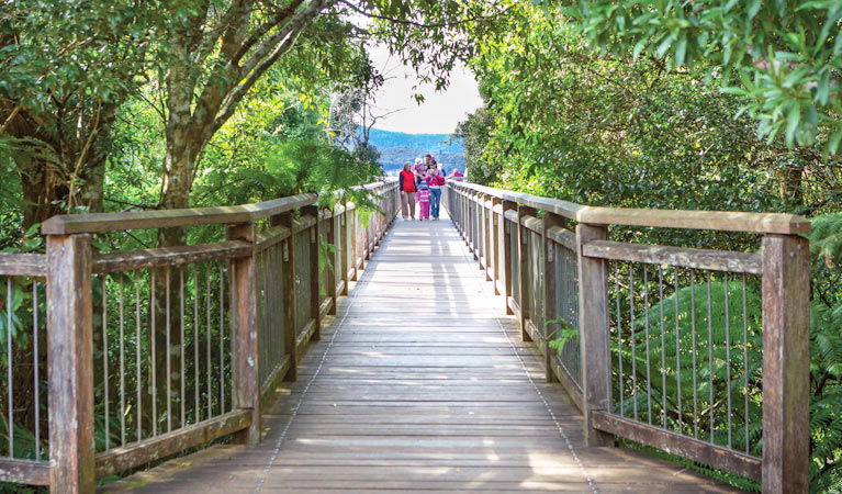 Dorrigo Mountain NSW Accommodation Rockhampton