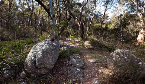 Wadbilliga National Park - Accommodation Rockhampton 2