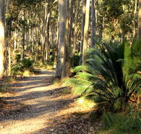 Square Head track 2 - Accommodation Rockhampton