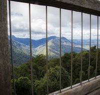 Dorrigo Rainforest Centre - Accommodation Rockhampton