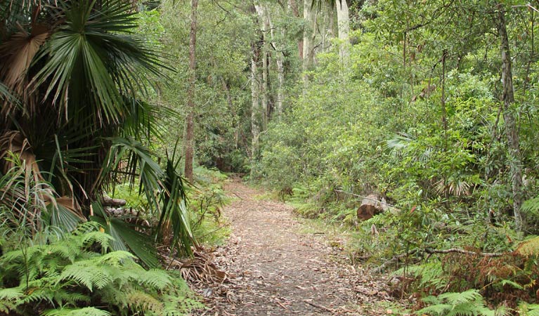 East Lynne NSW Accommodation Rockhampton