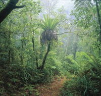 Wagawn - Accommodation Rockhampton