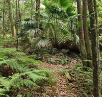 Durras Lake Discovery trail - Accommodation Rockhampton