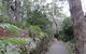 Booderee National Park Botanic Gardens - thumb 3