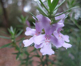 Booderee National Park Botanic Gardens - Accommodation Rockhampton 5