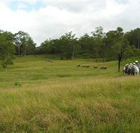 Numinbah Valley Adventure Trails - Accommodation Rockhampton