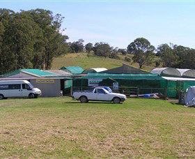 Tinonee Orchid Nursery - Accommodation Rockhampton 0
