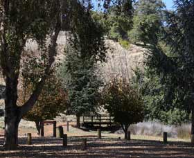 Oak Grove Walk, Balingup - Accommodation Rockhampton 2