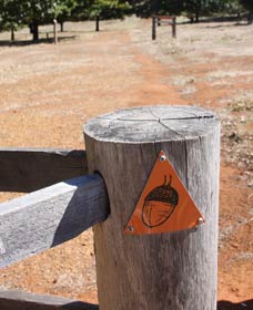 Oak Grove Walk, Balingup - Accommodation Rockhampton 3
