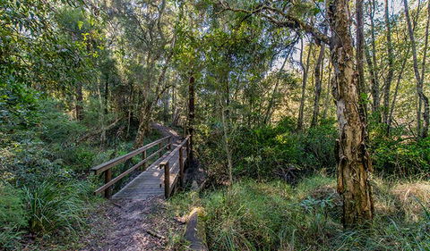 Dawson River Walking Track - Accommodation Rockhampton 1