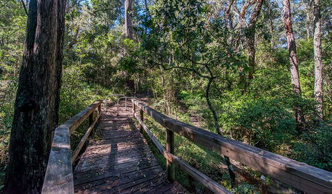 Dawson River Walking Track - Accommodation Rockhampton 3