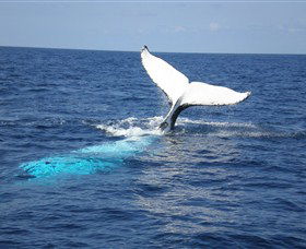 Booderee National Park: Cape St George Lighthouse - Accommodation Rockhampton 1