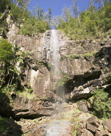 The Channon NSW Accommodation Rockhampton
